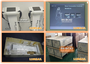 生物- Impedancemetryのデジタル表示装置が付いている電子正確な体脂肪の検光子
