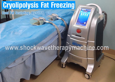 美容院または医院の使用のための4つのハンドルが付いている機械を細くするCryolipolysisの脂肪質の氷結