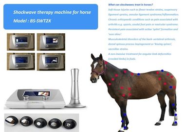 音響の馬動物の苦痛の処置の衝撃波療法システム1-22Hz制動機ポイント療法
