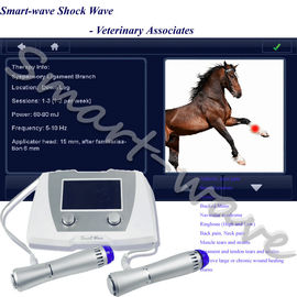 Patellar Tendinopathyのための獣医の医学の馬の衝撃波機械