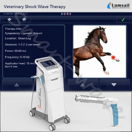 小さいペットのための獣医のExtracorporeal馬の衝撃波機械物理療法