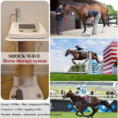 高エネルギーの競馬馬のための獣医の衝撃波療法機械