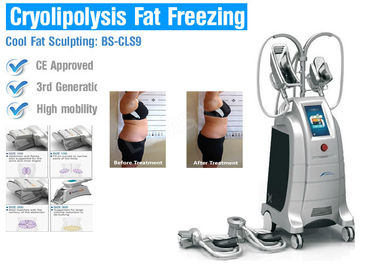 機械を細くするCryolipolysisの脂肪質の凍結ボディ ボディ細くのための外科無し