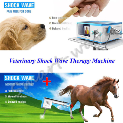 馬の腰痛のための集中された送信機の馬の衝撃波療法機械