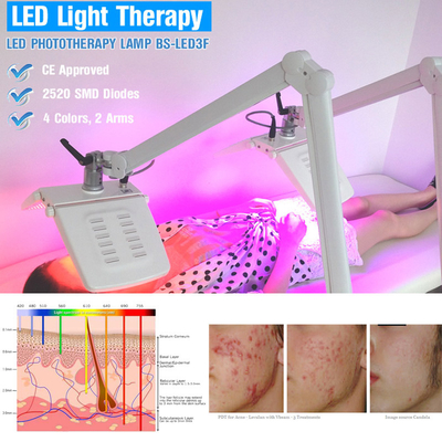 プロ光子生物LEDライト療法機械10 - 110HZ頻度アクネの処置