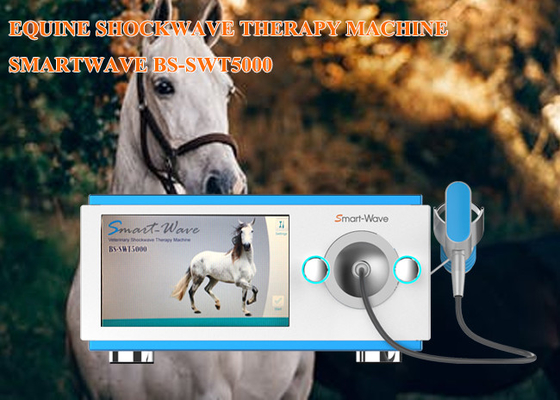 専門の物理療法の放射状の衝撃波療法機械馬の衝撃波装置