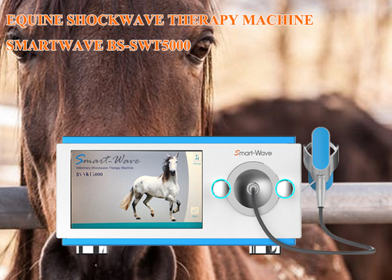 ESWTの馬のExtracorporeal衝撃波療法装置