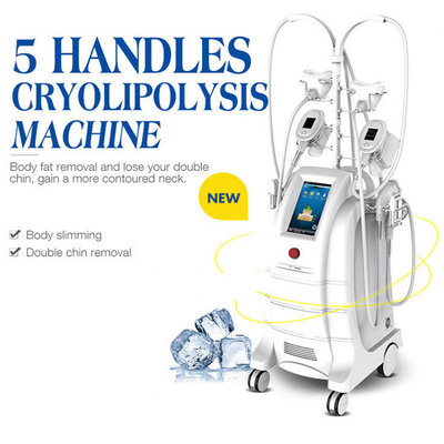 5つのハンドルのCryolipolysisの脂肪質の減少のための脂肪質の凍結の本体彫刻機械