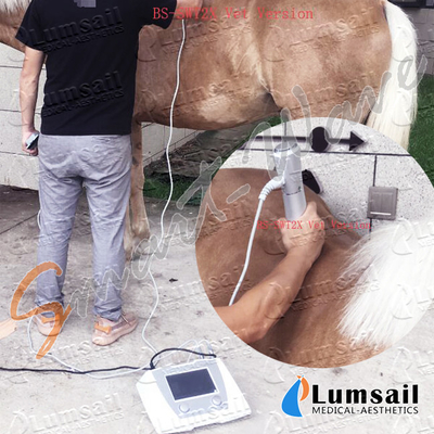 放射状ESWTの馬の獣医の衝撃波療法機械