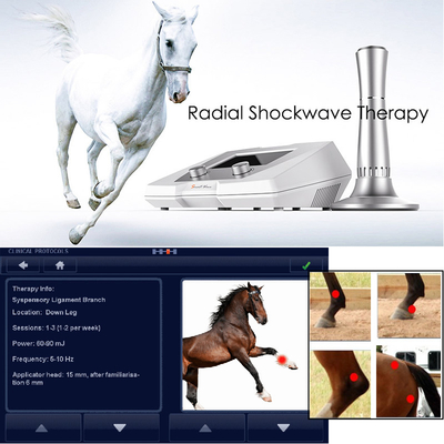 腱の傷害の馬の医学の物理療法装置