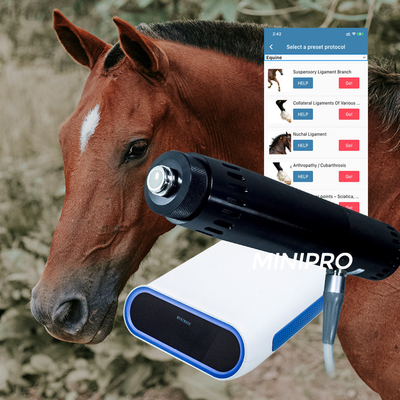 携帯用獣医の馬の懸垂の傷害のための馬の衝撃波機械