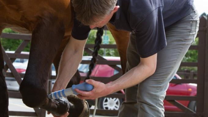 高エネルギーの衝撃波療法機械競馬馬のための獣医の衝撃波療法機械