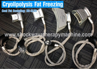 速い脂肪質の減少のための機械を細くする4つのハンドルのCryolipolysisの減量装置