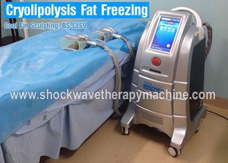 速い脂肪質の減少のための機械を細くする4つのハンドルのCryolipolysisの減量装置