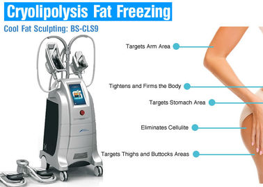 安全Cryolipolysisの脂肪質の損失機械、脂肪質の凍結ボディ輪郭を描く機械
