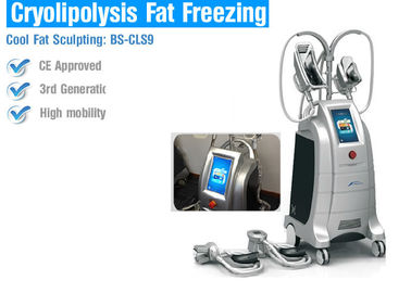 安全Cryolipolysisの脂肪質の損失機械、脂肪質の凍結ボディ輪郭を描く機械