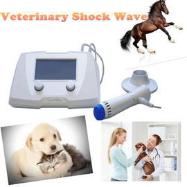 動物の柔らかい問題/腱の傷害のための獣医の馬の衝撃波機械