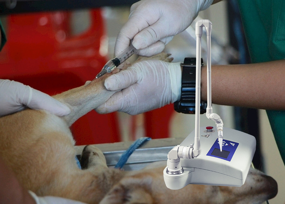 医療機器の獣医の二酸化炭素犬/動物病院のための僅かレーザー機械