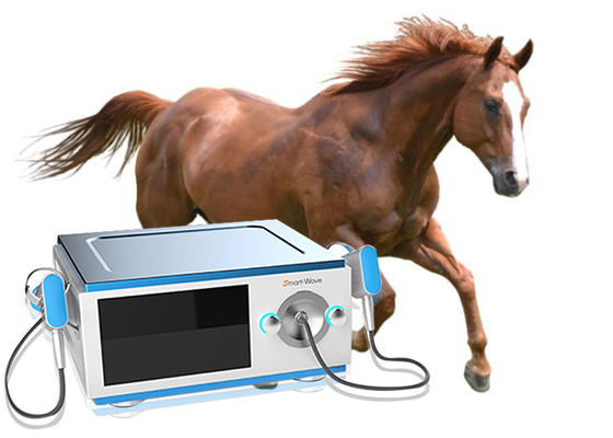 馬の腰痛のための集中された送信機の馬の衝撃波療法機械