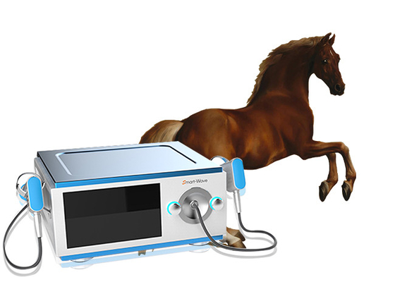 低雑音の馬の苦痛BS-SWT5000のための馬の衝撃波療法装置