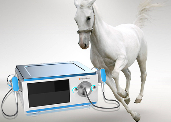 苦痛は馬の医療機器のための低雑音の馬の衝撃波機械を減らします