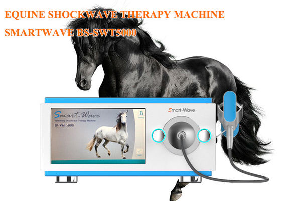 専門の物理療法の放射状の衝撃波療法機械馬の衝撃波装置