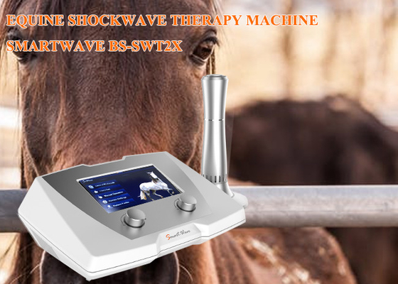 医院の馬の衝撃波療法機械1 - 22懸垂の靭帯の病気のための頻度Hzの