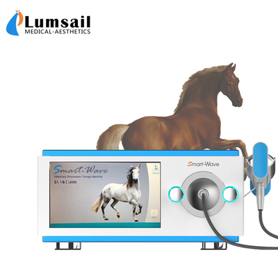 馬の処置のための小さい動物の物理的な放射状の馬の衝撃波機械