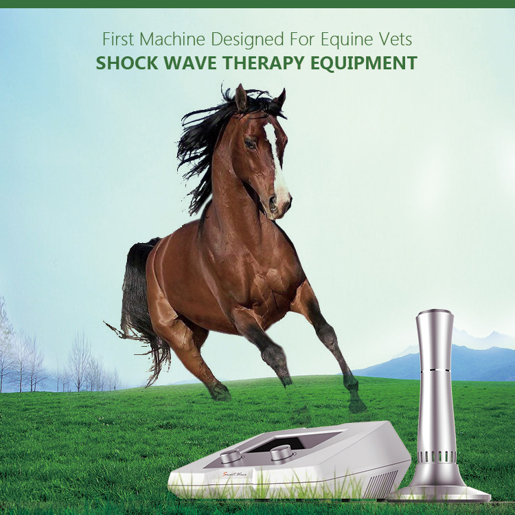 1 - 22 Hz Veterinary Medical Therapy Equipment Shockwave BS-SWT2X For Tendon Injury