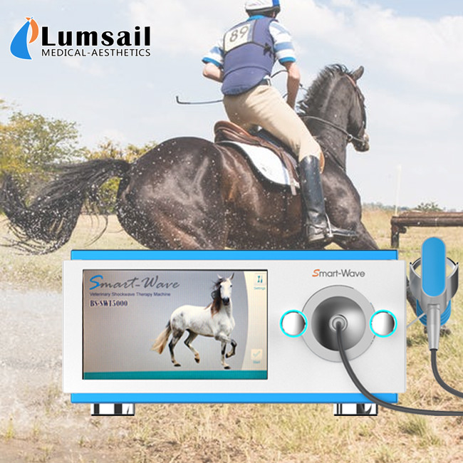 低雑音の馬の苦痛BS-SWT5000のための馬の衝撃波療法装置