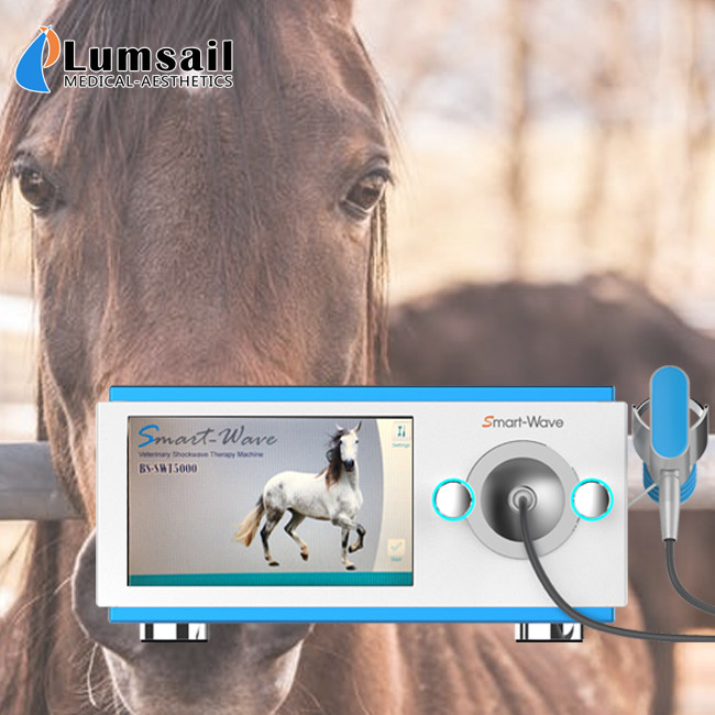 Pain Relief Equine Shockwave Machine Focused Transmitter High Impact Strength