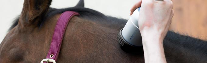 獣医の医学の衝撃波療法装置の衝撃波の馬の馬の衝撃波療法機械