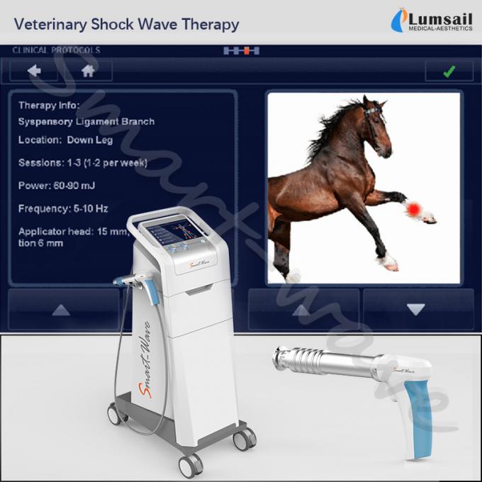 物理療法の獣医の小さいペットは馬extracorporeal衝撃波療法の馬の衝撃波機械を使用します