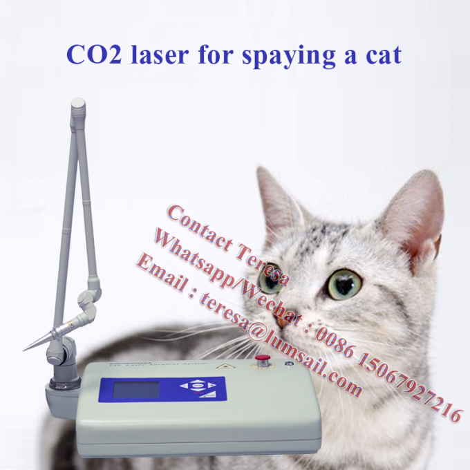 携帯用15W外科獣医の技術の二酸化炭素レーザー